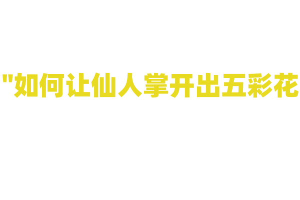 "如何让仙人掌开出五彩花？"